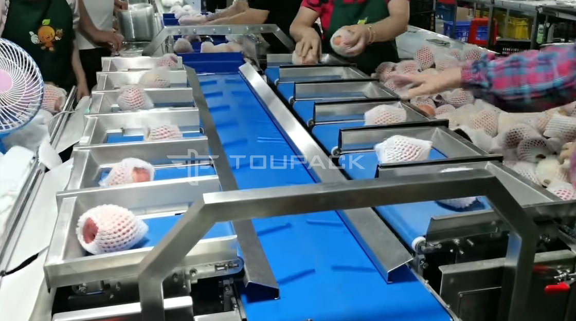 বালিশ রোল প্যাকিং মেশিন নাশপাতি আপেল ওজন সমন্বয় স্কেল ফল সমন্বয় ওজনকারী উচ্চ নির্ভুলতা প্যাকিং মেশিন