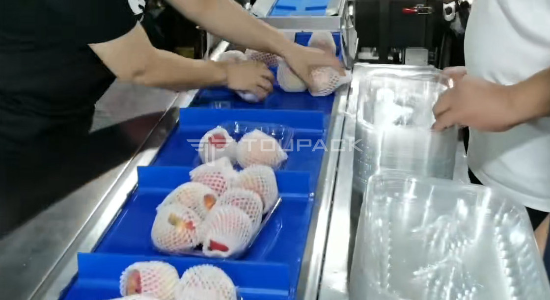 বালিশ রোল প্যাকিং মেশিন নাশপাতি আপেল ওজন সমন্বয় স্কেল ফল সমন্বয় ওজনকারী উচ্চ নির্ভুলতা প্যাকিং মেশিন