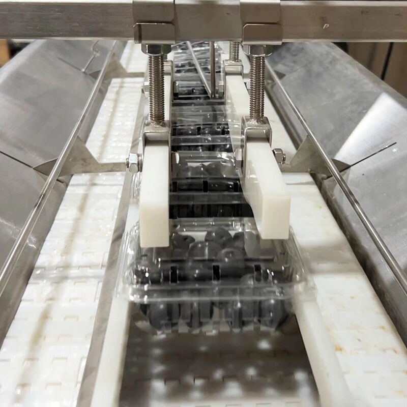 অটো ব্লুবেরি ফ্রোজেন ভেজ সালাদ ভেজিটেবল প্যাকিং মেশিন চেরি টমেটো ভেজিটেবল ওজন ও প্যাকিং মেশিন