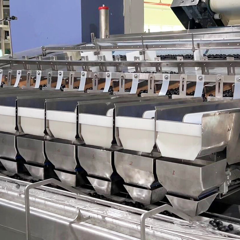 অটো ব্লুবেরি ফ্রোজেন ভেজ সালাদ ভেজিটেবল প্যাকিং মেশিন চেরি টমেটো ভেজিটেবল ওজন ও প্যাকিং মেশিন