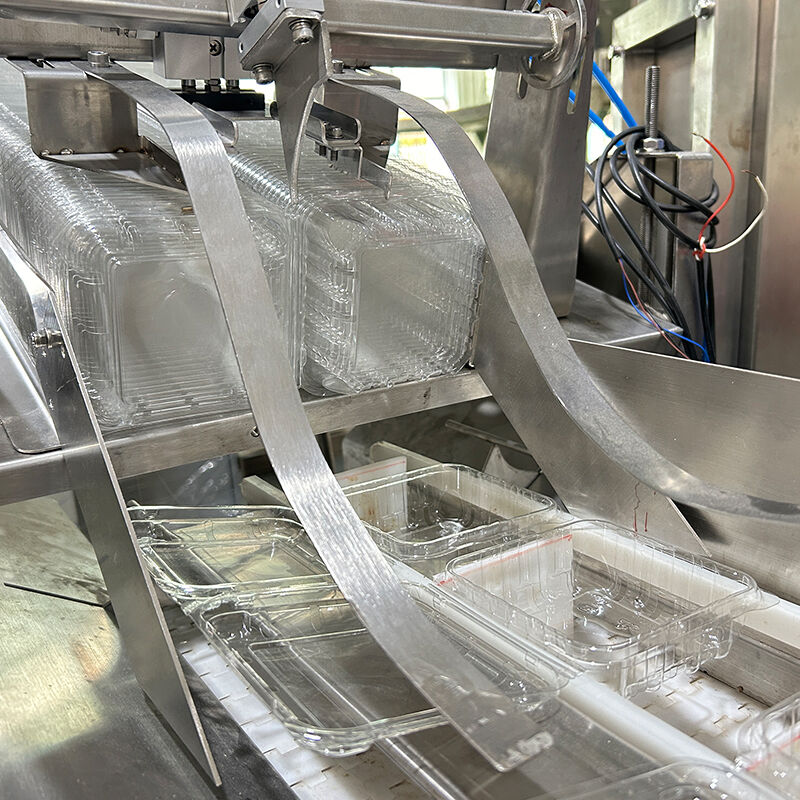 অটো ব্লুবেরি ফ্রোজেন ভেজ সালাদ ভেজিটেবল প্যাকিং মেশিন চেরি টমেটো ভেজিটেবল ওজন ও প্যাকিং মেশিন