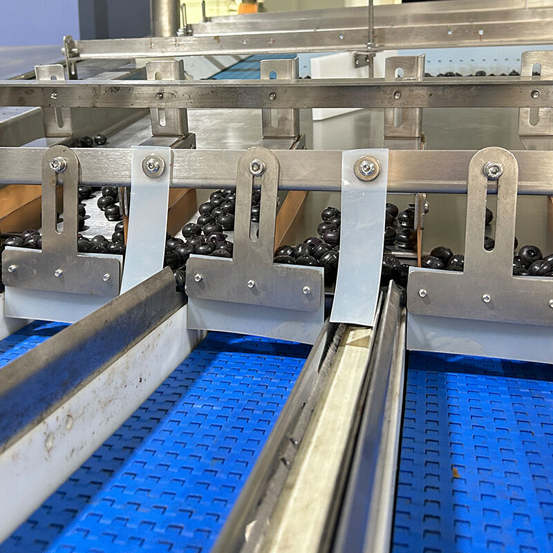 অটো ব্লুবেরি ফ্রোজেন ভেজ সালাদ ভেজিটেবল প্যাকিং মেশিন চেরি টমেটো ভেজিটেবল ওজন ও প্যাকিং মেশিন