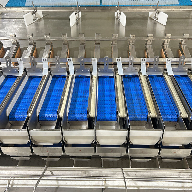 অটো ব্লুবেরি ফ্রোজেন ভেজ সালাদ ভেজিটেবল প্যাকিং মেশিন চেরি টমেটো ভেজিটেবল ওজন ও প্যাকিং মেশিন