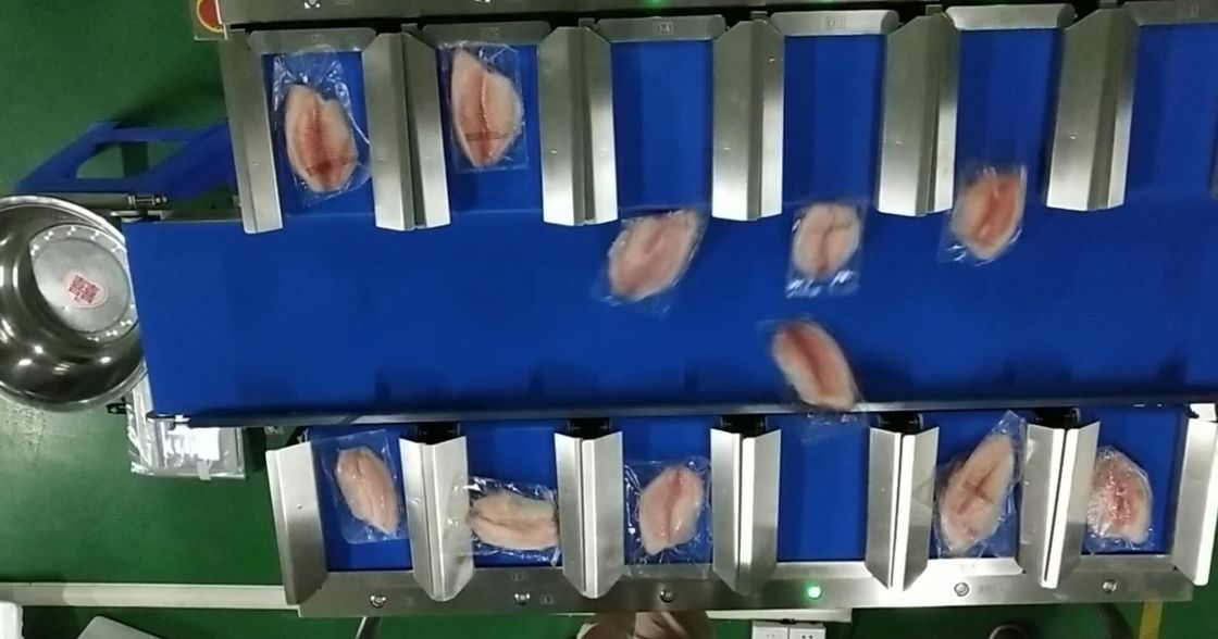 টুপ্যাক 12 হেড 30 ডাব্লুপিএম বেল্ট ওয়েইগার সিস্টেমের কনভেয়র বেল্ট ওয়েইজার সী ফুডের জন্য