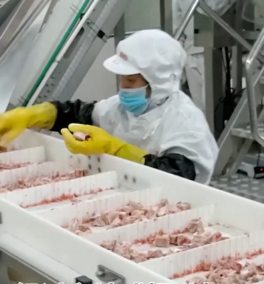 বরফের মাংসের হাড়ের পণ্যের জন্য 20 ব্যাগ / মিনিট মাল্টিহেড ওয়েজার প্যাকিং মেশিন