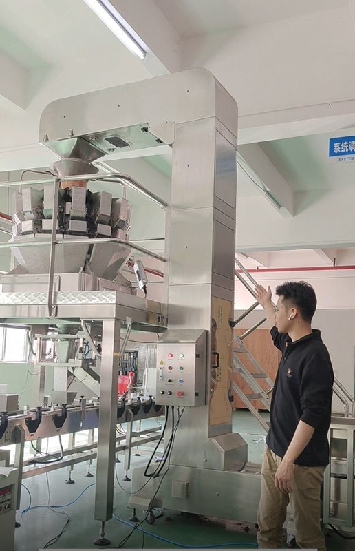 স্টেইনলেস স্টিল জেড ইনলাইন বালতি পরিবাহক 10/14 হেড মাল্টিহেড ওয়েজারের সাথে কাজ করে
