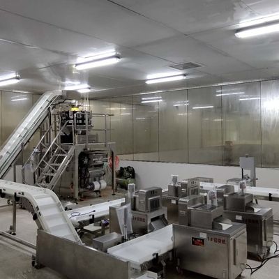 ISO9001 পরিবাহক বেল্ট বাছাই সিস্টেম