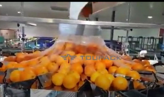 নেট সহ স্বয়ংক্রিয় কমলা ফল এবং সবজি প্যাকেজিং মেশিন