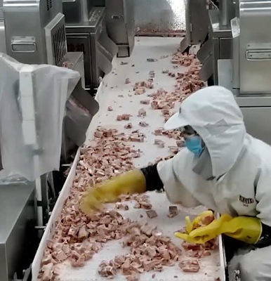 বরফের মাংসের হাড়ের পণ্যের জন্য 20 ব্যাগ / মিনিট মাল্টিহেড ওয়েজার প্যাকিং মেশিন