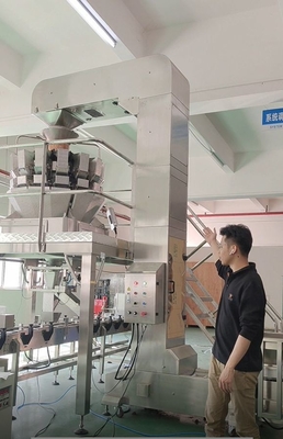 স্টেইনলেস স্টিল জেড ইনলাইন বালতি পরিবাহক 10/14 হেড মাল্টিহেড ওয়েজারের সাথে কাজ করে