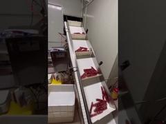 দীর্ঘ আকৃতির সসেজ, হট ডগ জন্য স্বয়ংক্রিয় ওজন এবং পরিবাহক সিস্টেম