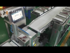 TOUPACK 12 Belt Combination Weigher--Sausage Weighing