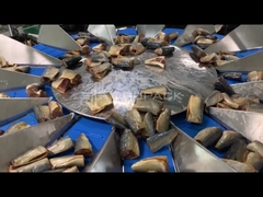 TOUPACK 14 মাথা মাল্টিহেড মাছ ওজনের জন্য ওয়েজার