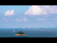 মাল্টিহেড ওয়েজার প্রস্তুতকারক