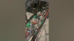 32 মাথা মাল্টিহেড ওয়েজার সহ পোপাগুলির খাবারের মিশ্র ওজন প্যাকেজিং লাইন