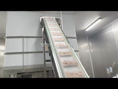 চিংড়ি ব্যাগ মাল্টিহেড ওজনকারী ফিলিং প্যাকিং মেশিন