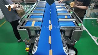 রক সুগার (ব্রাউন সুগার) এর জন্য ভি-বেল্ট মাল্টিহেড ওজনকারী | রিভার্স রিজেক্ট সিস্টেম | 464g ±2g